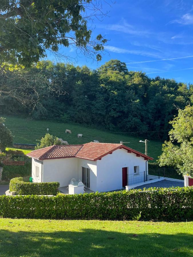 Le Bon Appart' Saint-Jean-Pied-de-Port Dış mekan fotoğraf